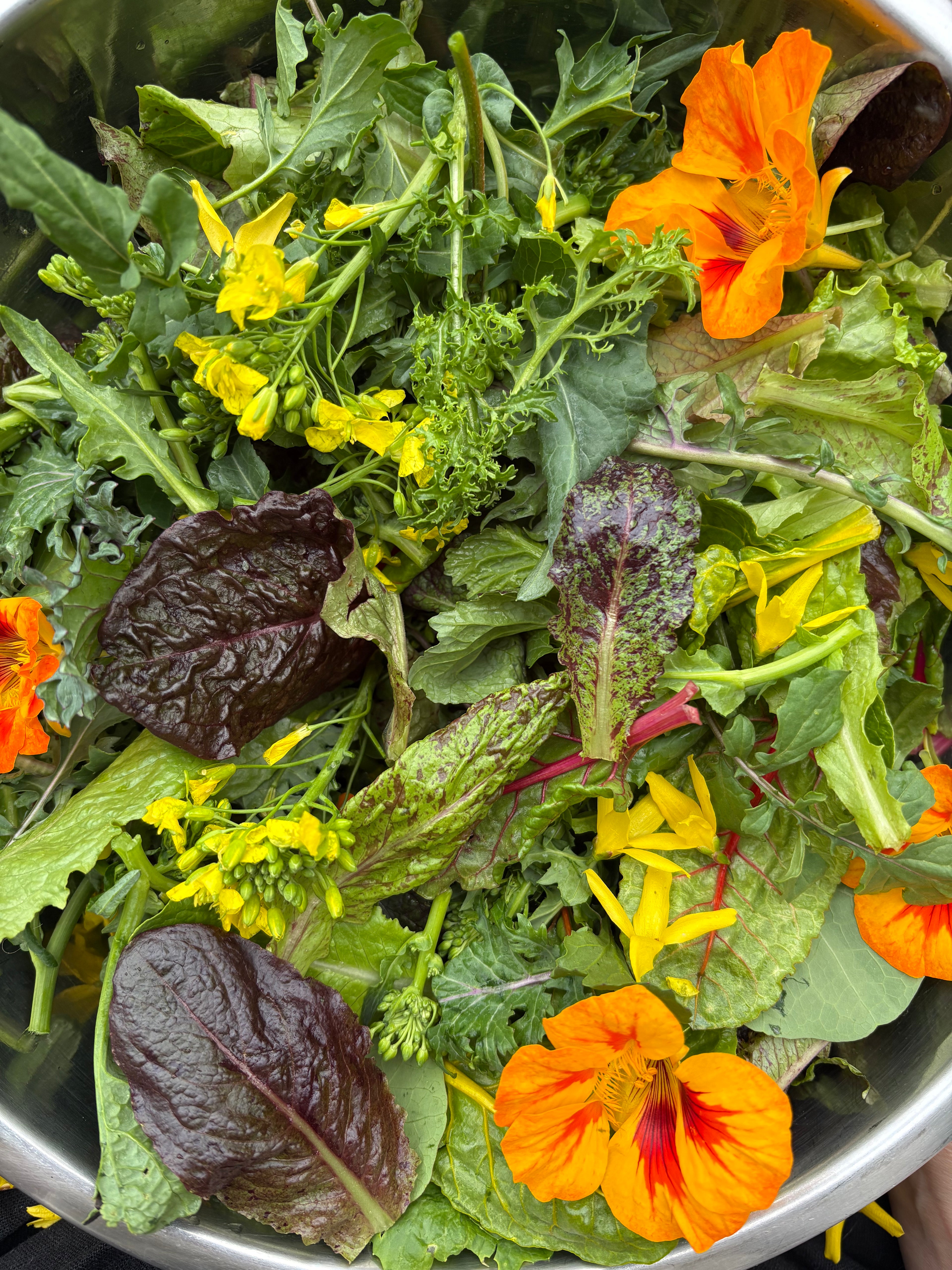 Seasonal Edible Flowers