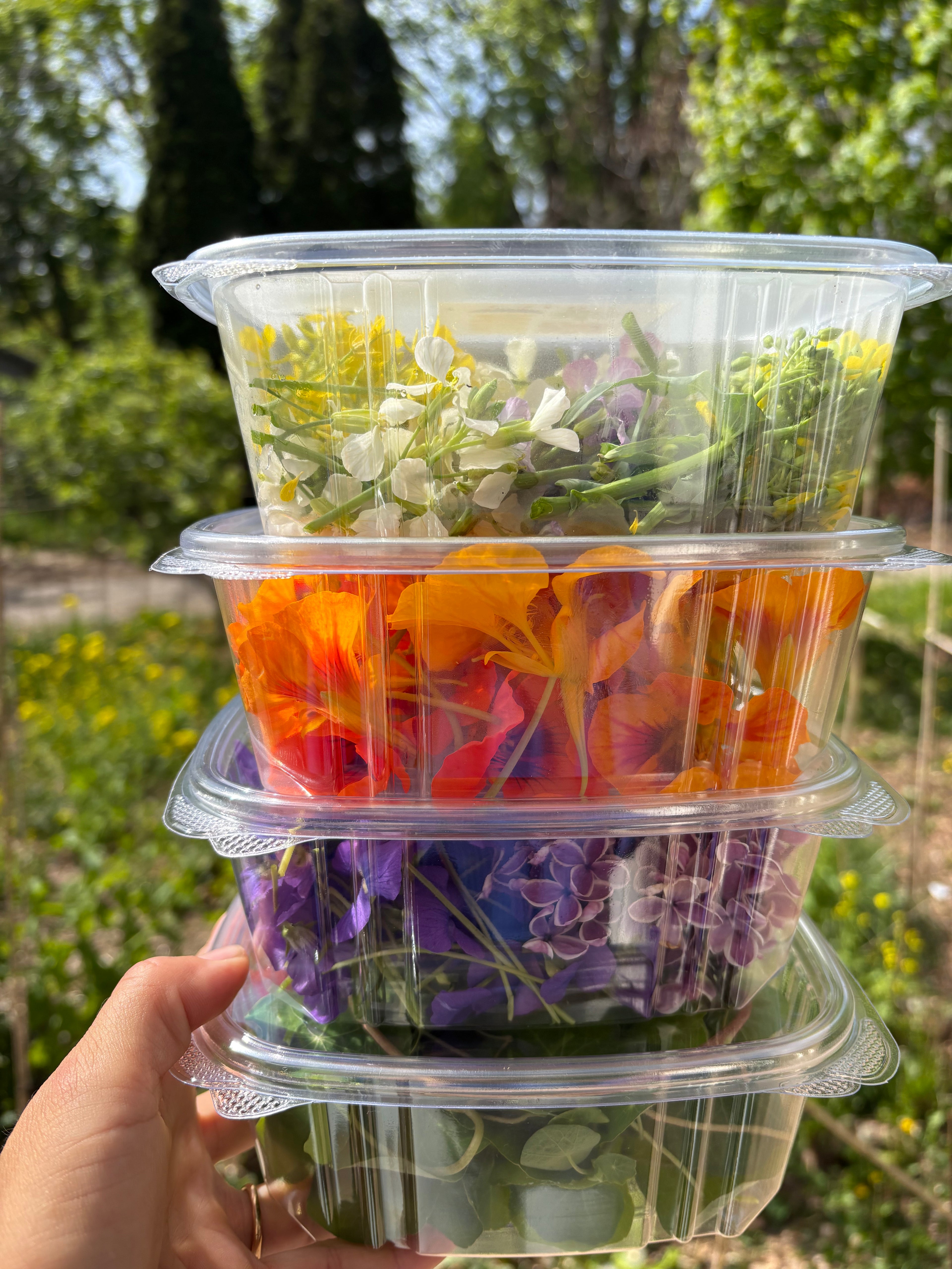 Seasonal Edible Flowers