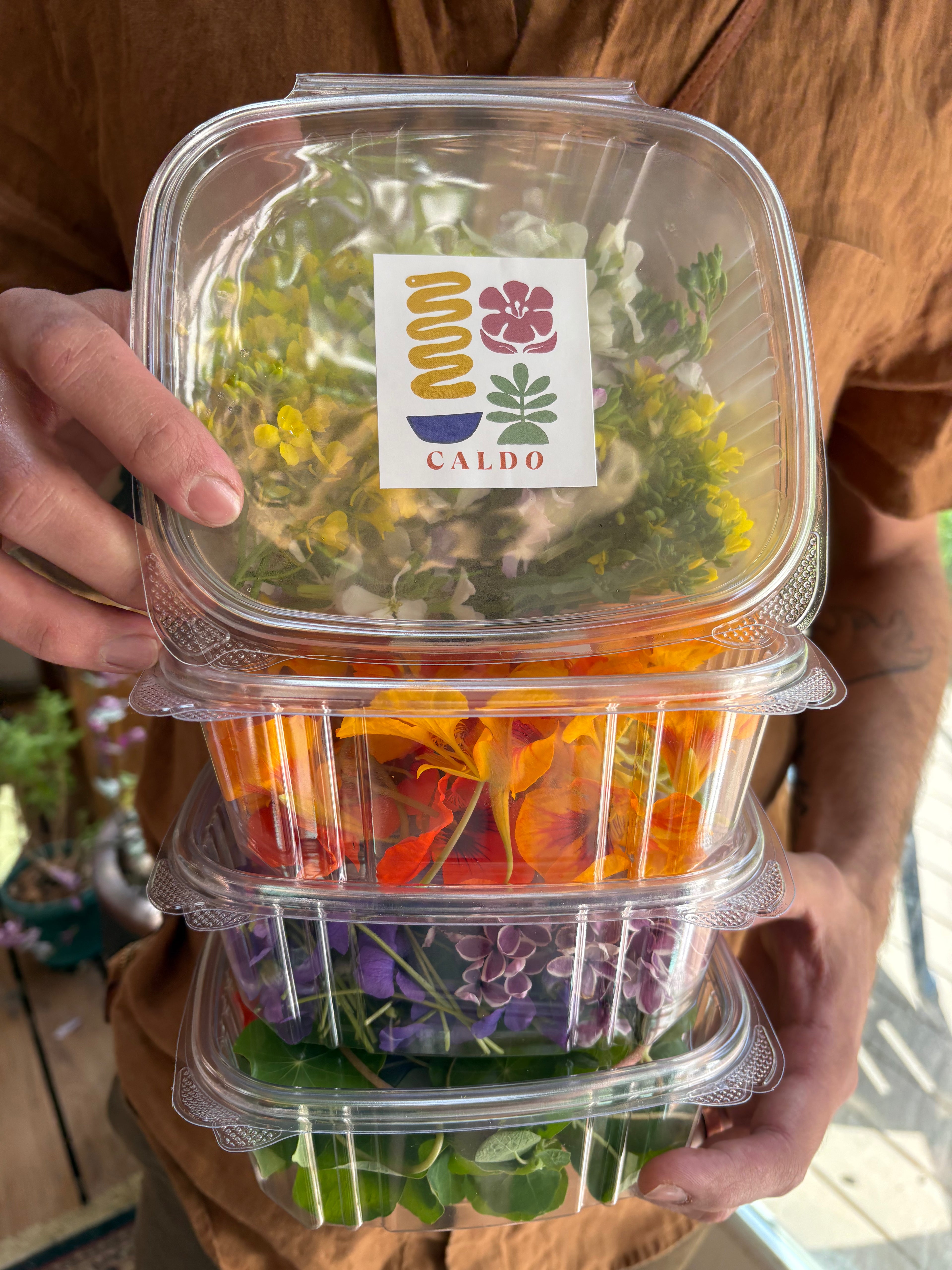 Seasonal Edible Flowers